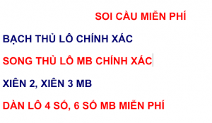 chốt bạch thủ lô mb siêu cao cấp víp